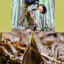 茅山森林世界 - 常州市旅游 缩略图 2
