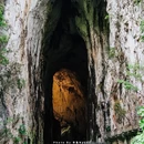 安顺紫云格凸河风景区 - 安顺市旅游 缩略图 3
