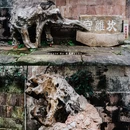 大同古镇 - 遵义市旅游 缩略图 9