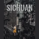 德阳石刻 - 德阳市旅游 缩略图 1