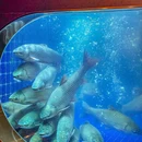 渔惑 中山脆肉鲩火锅(罗湖喜荟城店) - 深圳市旅游 缩略图 3