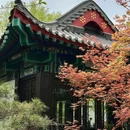 合肥骆岗公园 - 合肥市旅游 缩略图 6