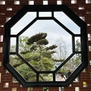 合肥骆岗公园 - 合肥市旅游 缩略图 4