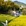 黄山市·徽州大灵山旅游度假区