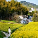 徽州大灵山旅游度假区 - 黄山市旅游 缩略图 1