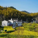 徽州大灵山旅游度假区 - 黄山市旅游 缩略图 2