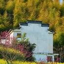 徽州大灵山旅游度假区 - 黄山市旅游 缩略图 5