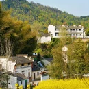 徽州大灵山旅游度假区 - 黄山市旅游 缩略图 7