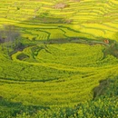 徽州大灵山旅游度假区 - 黄山市旅游 缩略图 9