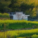 徽州大灵山旅游度假区 - 黄山市旅游 缩略图 6