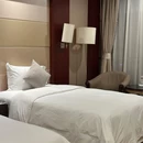 合肥泓瑞金陵大酒店 - 合肥旅游 缩略图 8