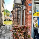伦教678文化街 - 佛山旅游 缩略图 6