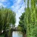 虎丘山风景名胜区 - 苏州旅游 缩略图 9