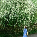柏萃森林度假区 - 成都市旅游 缩略图 4