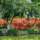 绣山公园 - 温州市旅游 缩略图 6