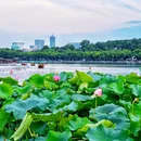 杭州西湖 - 杭州市旅游 缩略图 5