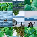 杭州西湖 - 杭州市旅游 缩略图 1