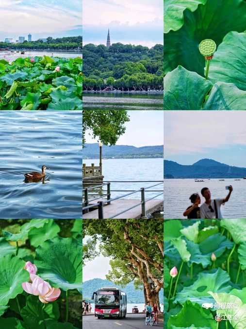 杭州西湖 - 杭州市旅游