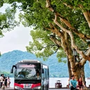杭州西湖 - 杭州市旅游 缩略图 6