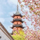 卢绪章生平事迹馆 - 宁波市旅游 缩略图 2