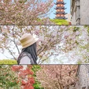 卢绪章生平事迹馆 - 宁波市旅游 缩略图 5