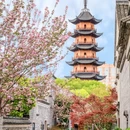 卢绪章生平事迹馆 - 宁波市旅游 缩略图 1