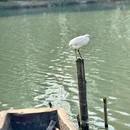 陶麓街区 - 宁波市旅游 缩略图 6