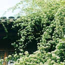 老门东 - 南京市旅游 缩略图 1