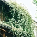 老门东 - 南京市旅游 缩略图 2
