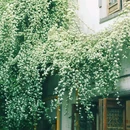 老门东 - 南京市旅游 缩略图 5