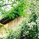 老门东 - 南京市旅游 缩略图 3