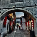 震泽古镇 - 苏州旅游 缩略图 8
