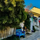 震泽古镇 - 苏州旅游 缩略图 9