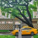 沙面岛 - 广州市旅游 缩略图 2