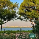 鸡鸣塘公园 - 苏州市旅游 缩略图 8