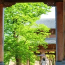 濮院时尚古镇 - 嘉兴市旅游 缩略图 3