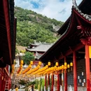 天台山-桐柏宫 - 台州市旅游 缩略图 7