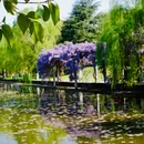 目澜洲公园 - 苏州市旅游 缩略图 5