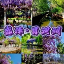 目澜洲公园 - 苏州市旅游 缩略图 1