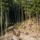 莫干山依山依水·设计师名宿 - 湖州市旅游 缩略图 7