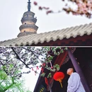 济南灵岩寺旅游区 - 济南市旅游 缩略图 1