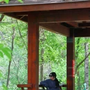 江夏区青龙山国家森林公园 - 武汉市旅游 缩略图 4