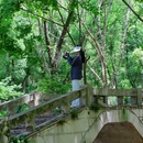 江夏区青龙山国家森林公园 - 武汉市旅游 缩略图 1