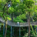 东湖磨山景区 - 武汉市旅游 缩略图 1
