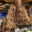 亚马逊环球美食百汇(LCM置汇旭辉广场店) - 上海市旅游 缩略图 3