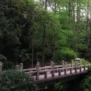 广州兰圃 - 广州市旅游 缩略图 5