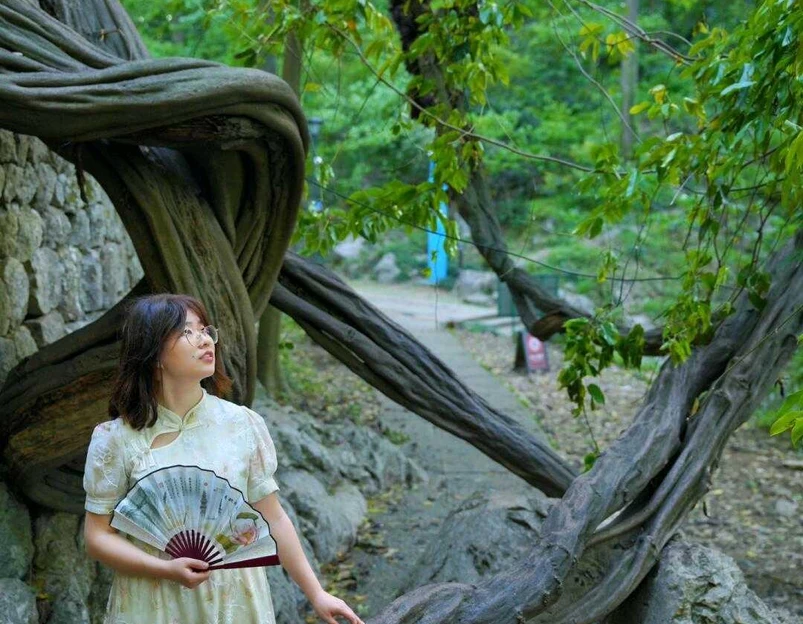 玉皇山景区 - 杭州市旅游 1