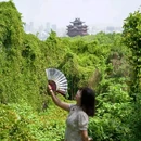 玉皇山景区 - 杭州市旅游 缩略图 6