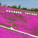 绿野欢乐谷 - 宁波市旅游 缩略图 1