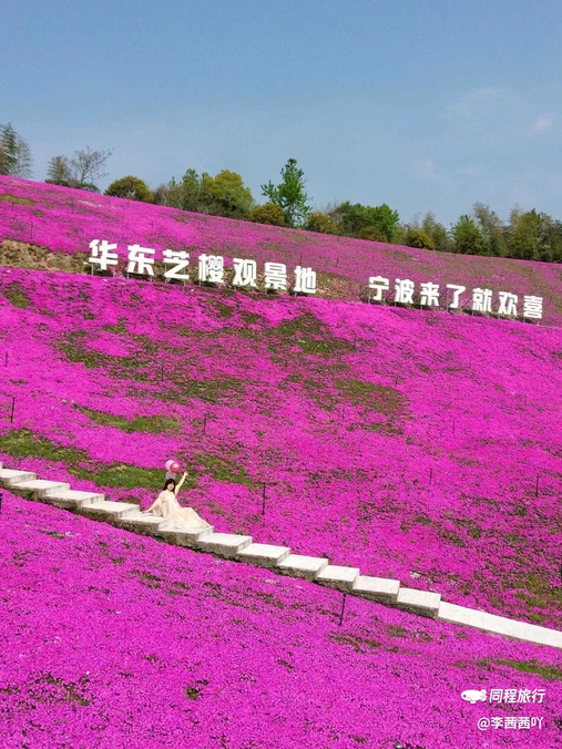 绿野欢乐谷 - 宁波市旅游